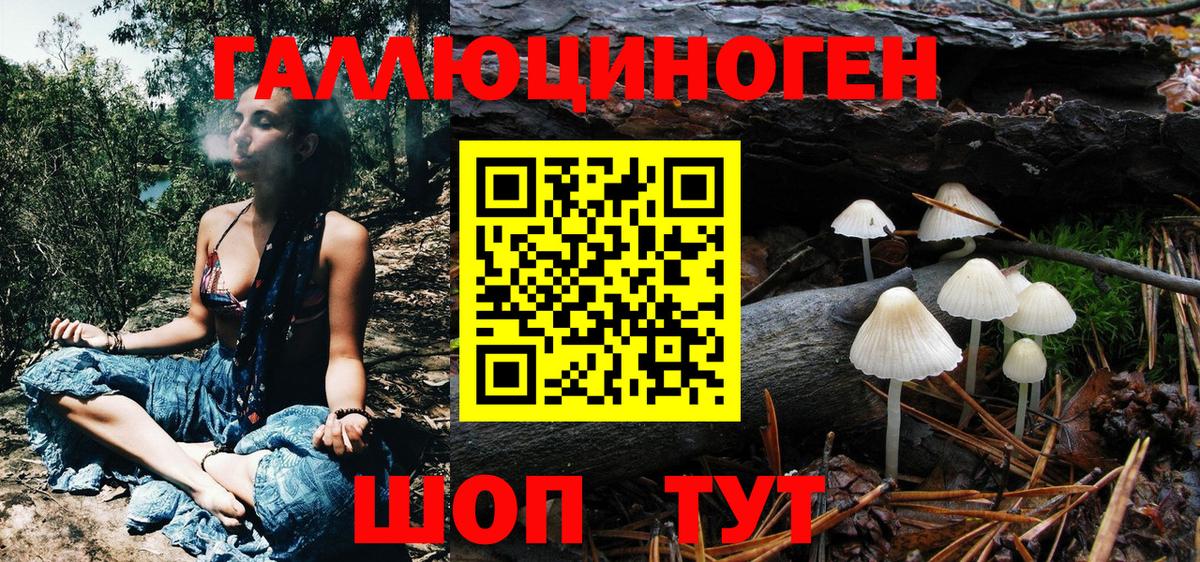 Псилоцибиновые грибы Psilocybine cubensis Свободный